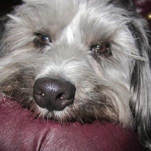 Meet your Posher, Cassie